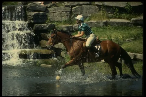 ag真人百家乐:Web Analysis for Zddjf - zddjf.com ag真人百家乐:Web Analysis for Zddjf - zddjf.com