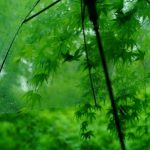 欧皇平台神秘算法曝光,中奖率暴涨的秘密! 1501DD80